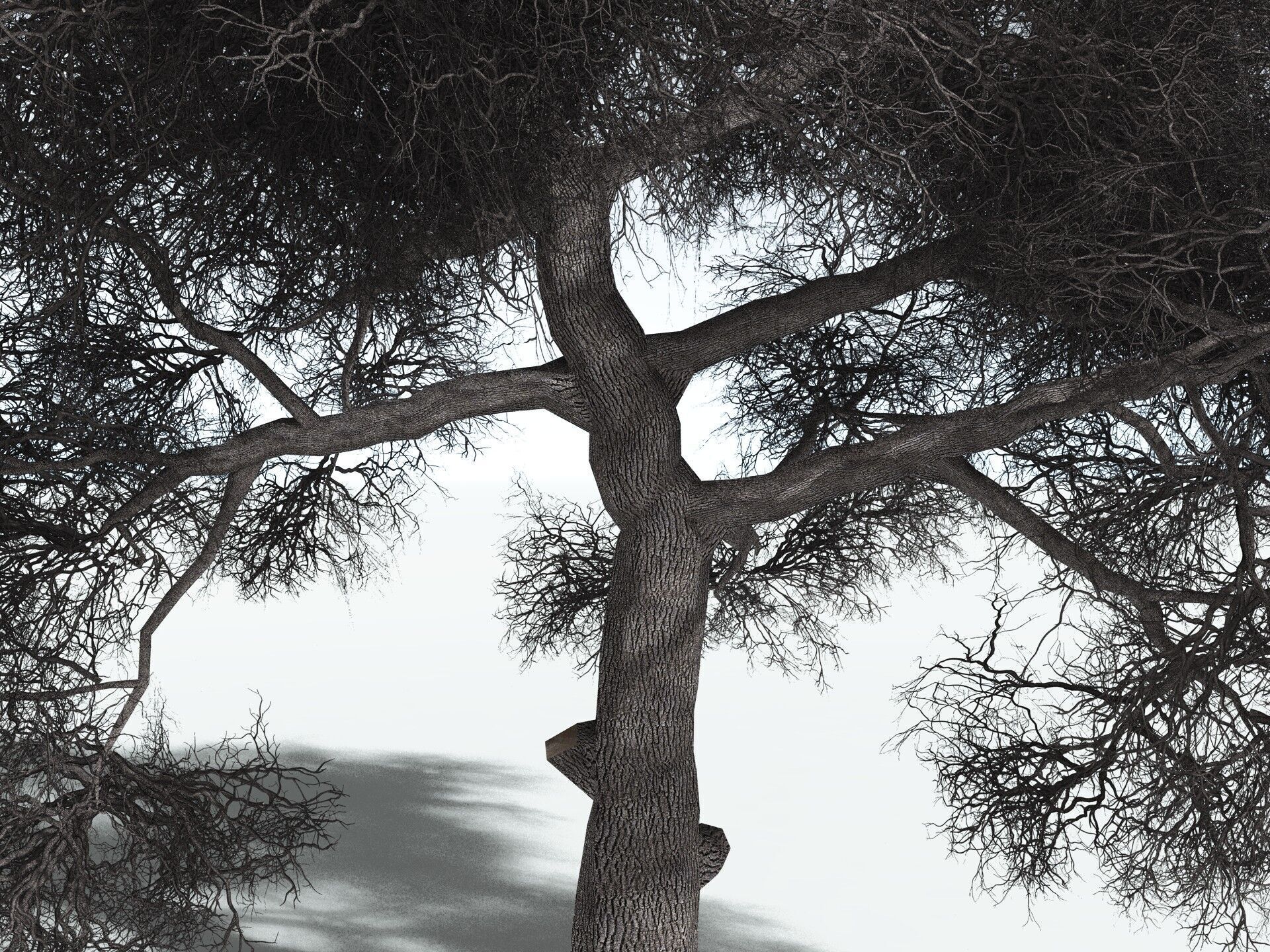 EVERYPlant English Oak LowPoly Low-poly 3D model_17