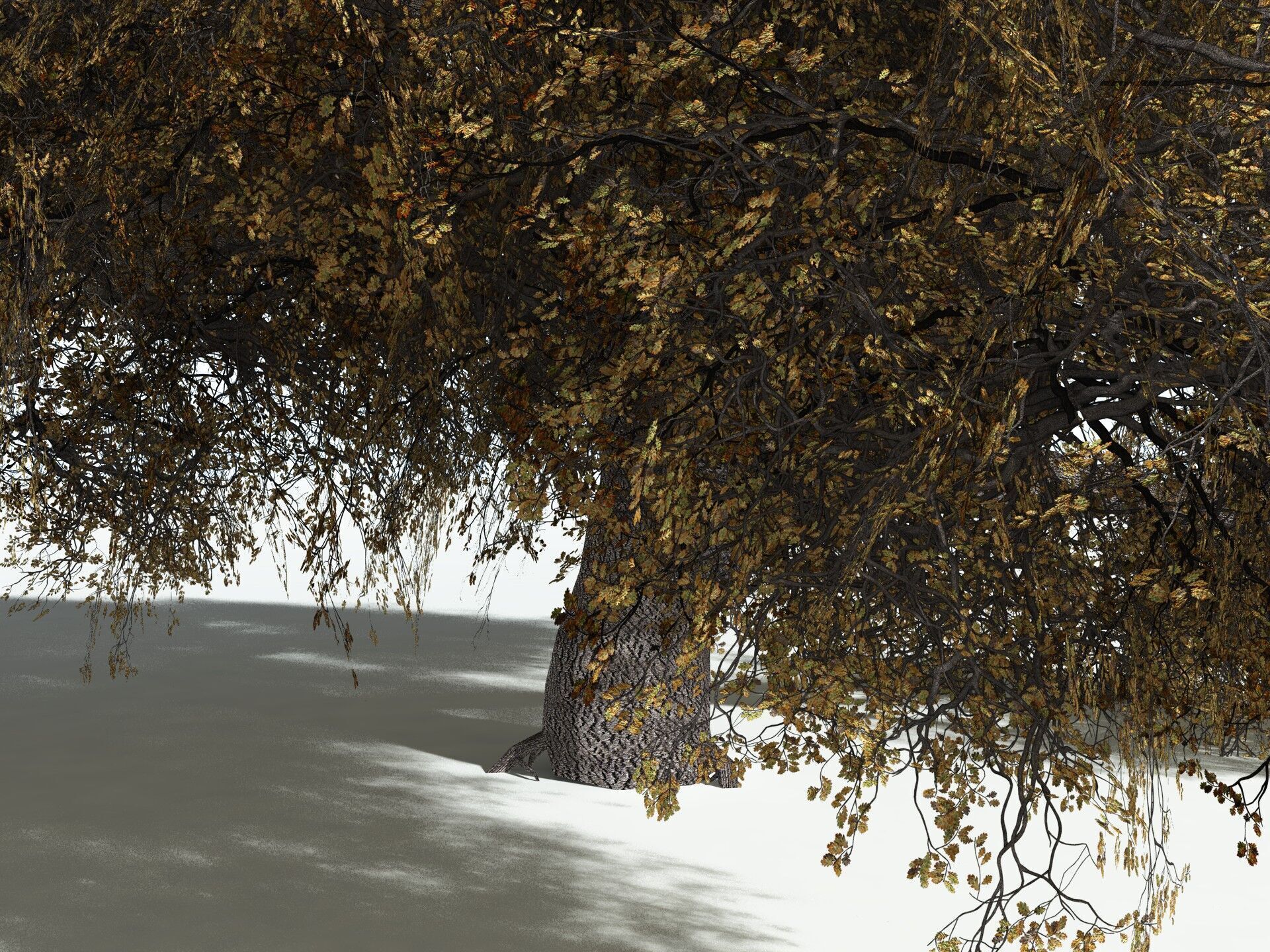 EVERYPlant English Oak LowPoly Low-poly 3D model_13