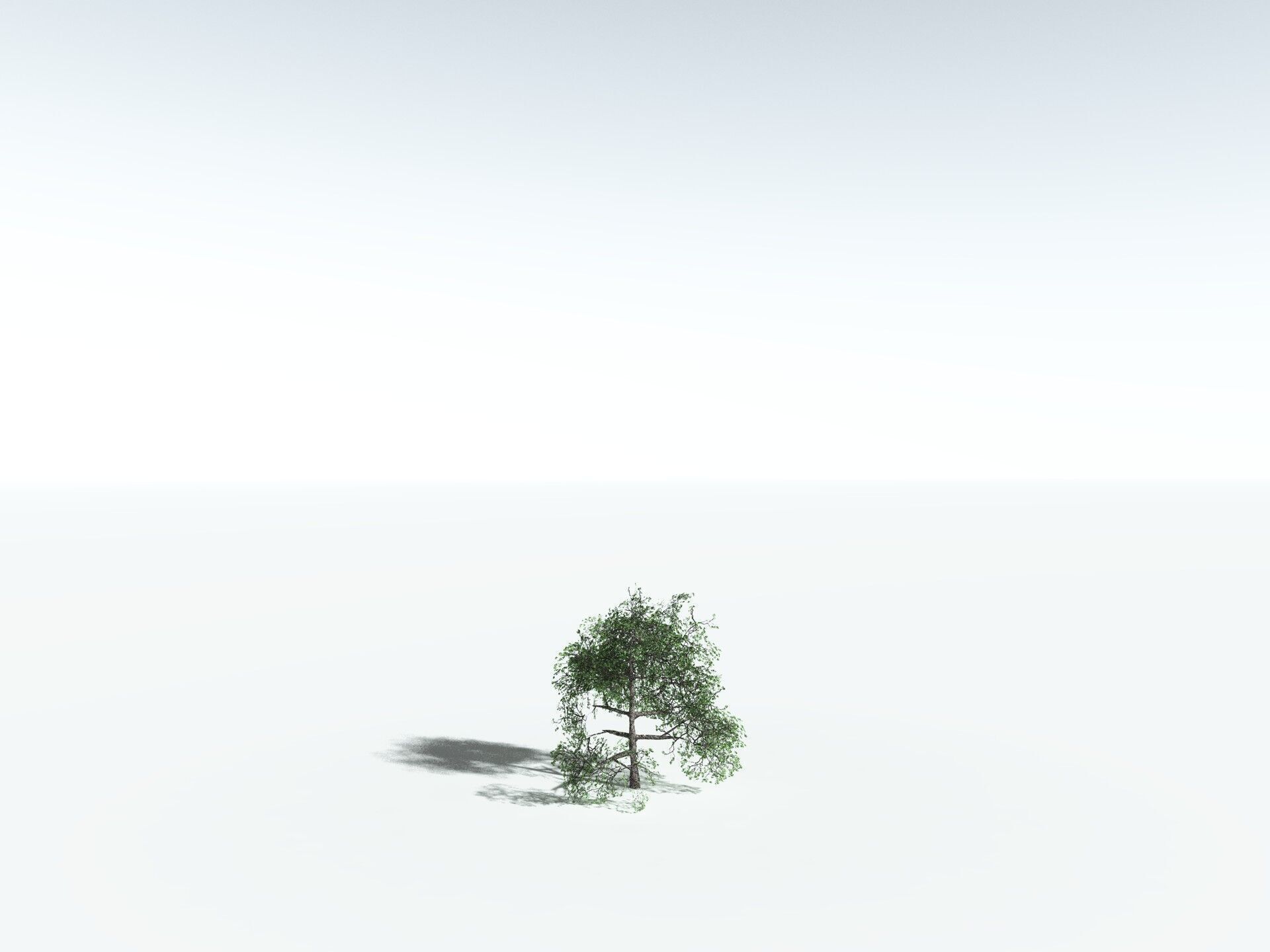 EVERYPlant English Oak LowPoly Low-poly 3D model_34