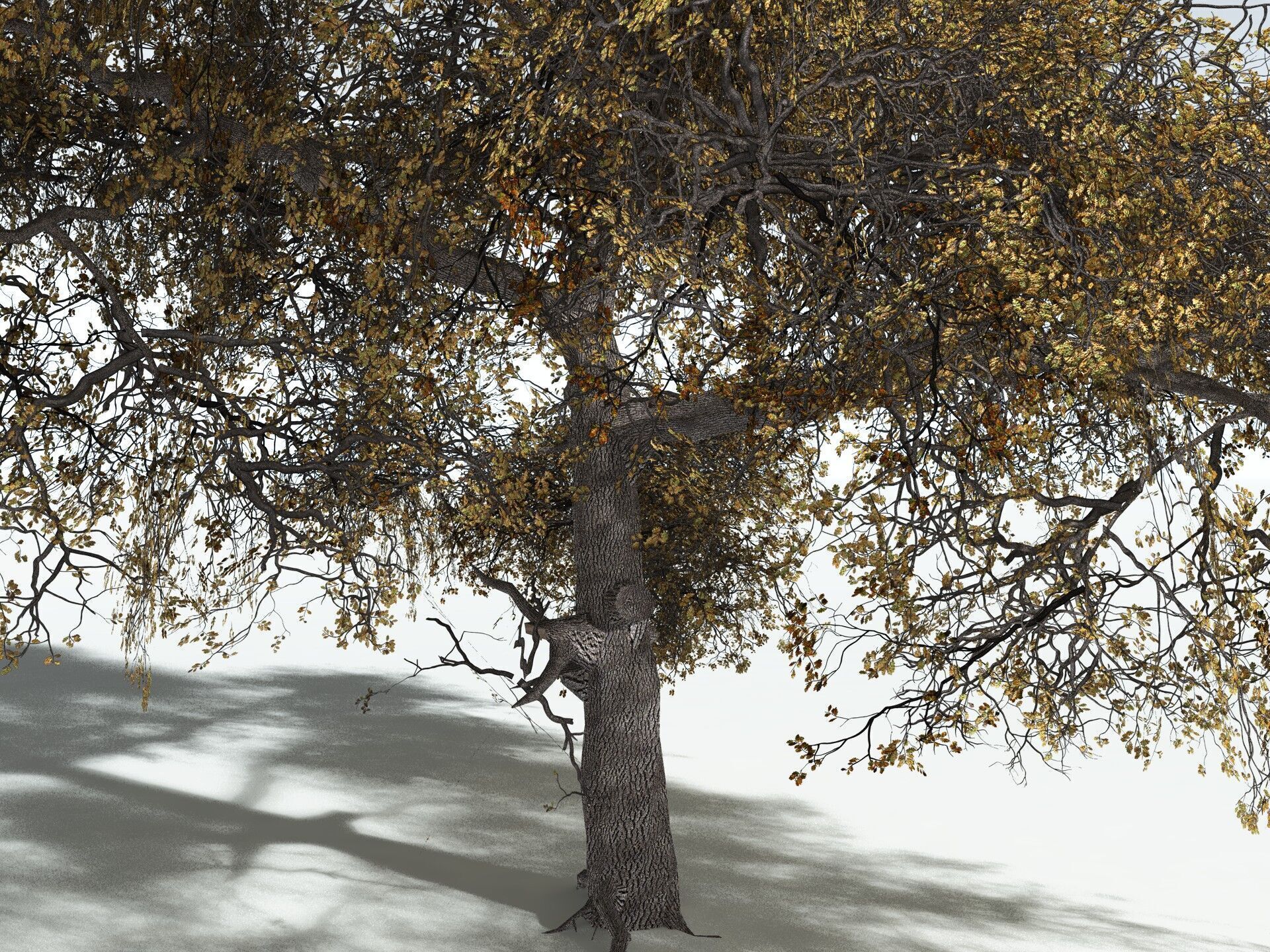 EVERYPlant English Oak LowPoly Low-poly 3D model_15