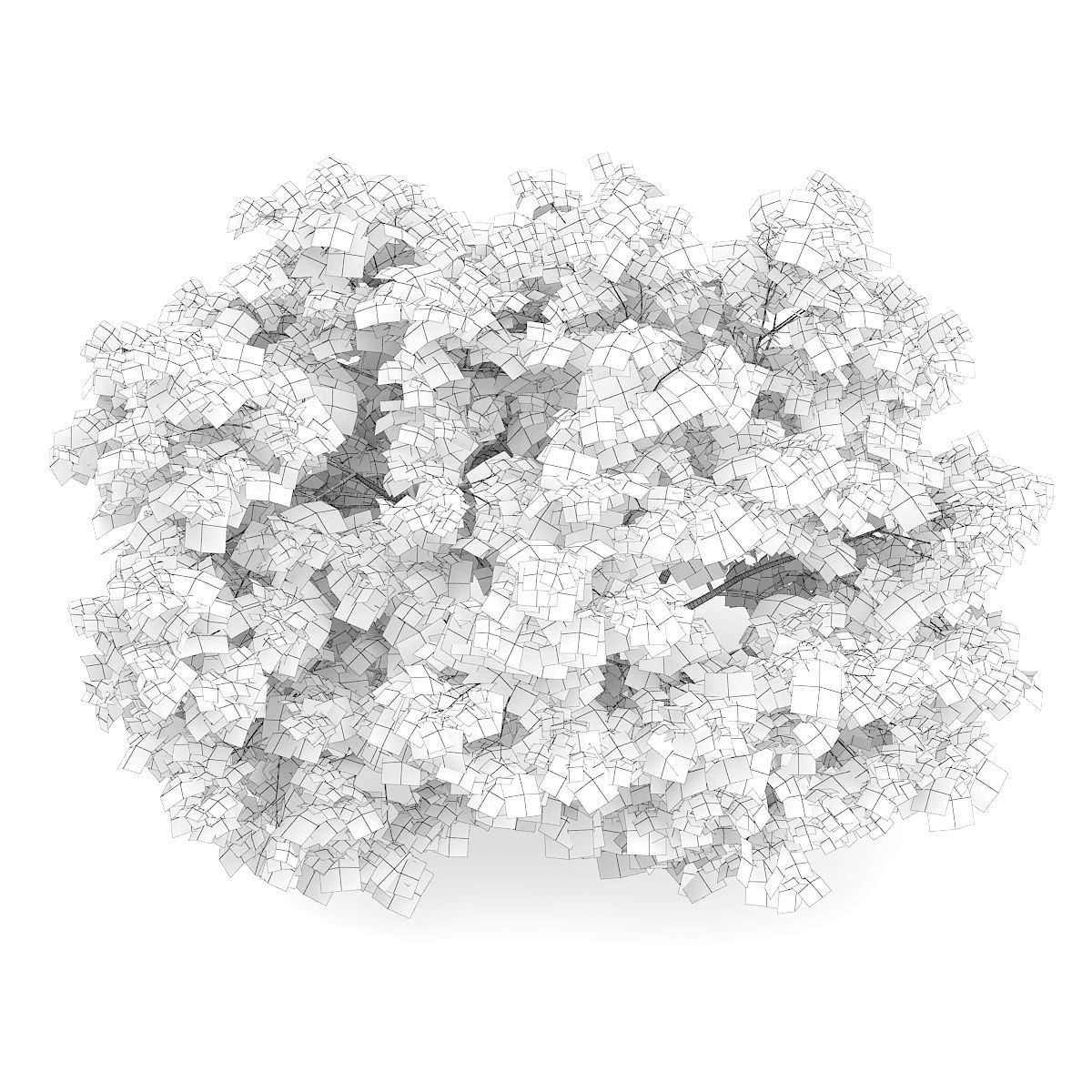 Japanese Maple Acer Palmatum 2 3D model_7