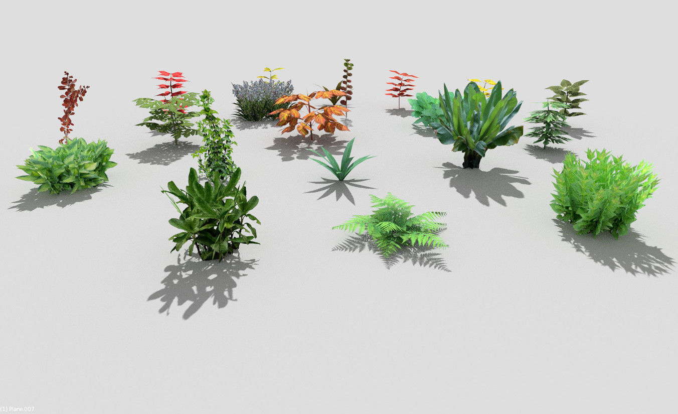 low poly plants collection cactus Low-poly 3D model_5