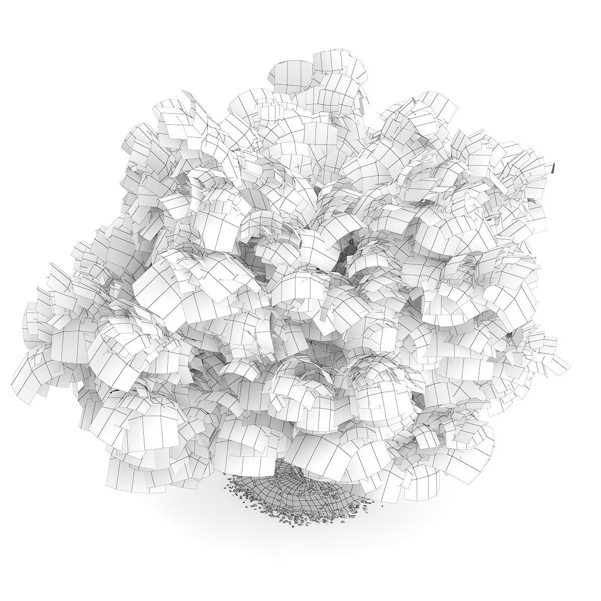 Amur Maple Acer ginnala 3D model_3