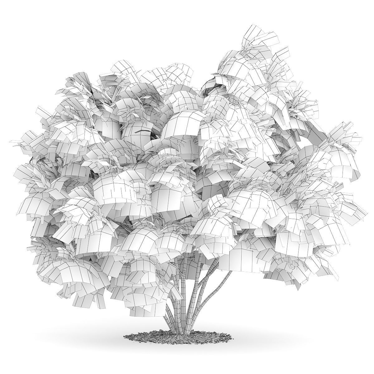 Amur Maple Acer ginnala 3D model_1