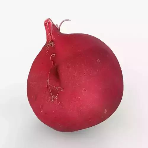 Red Radish - Whole Root Vegetable Scan