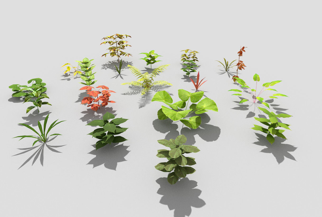 low poly plants collection group of in circle Low-poly 3D model_2