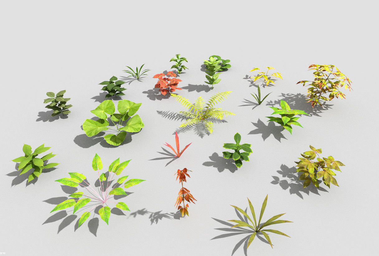 low poly plants collection group of in circle Low-poly 3D model_5