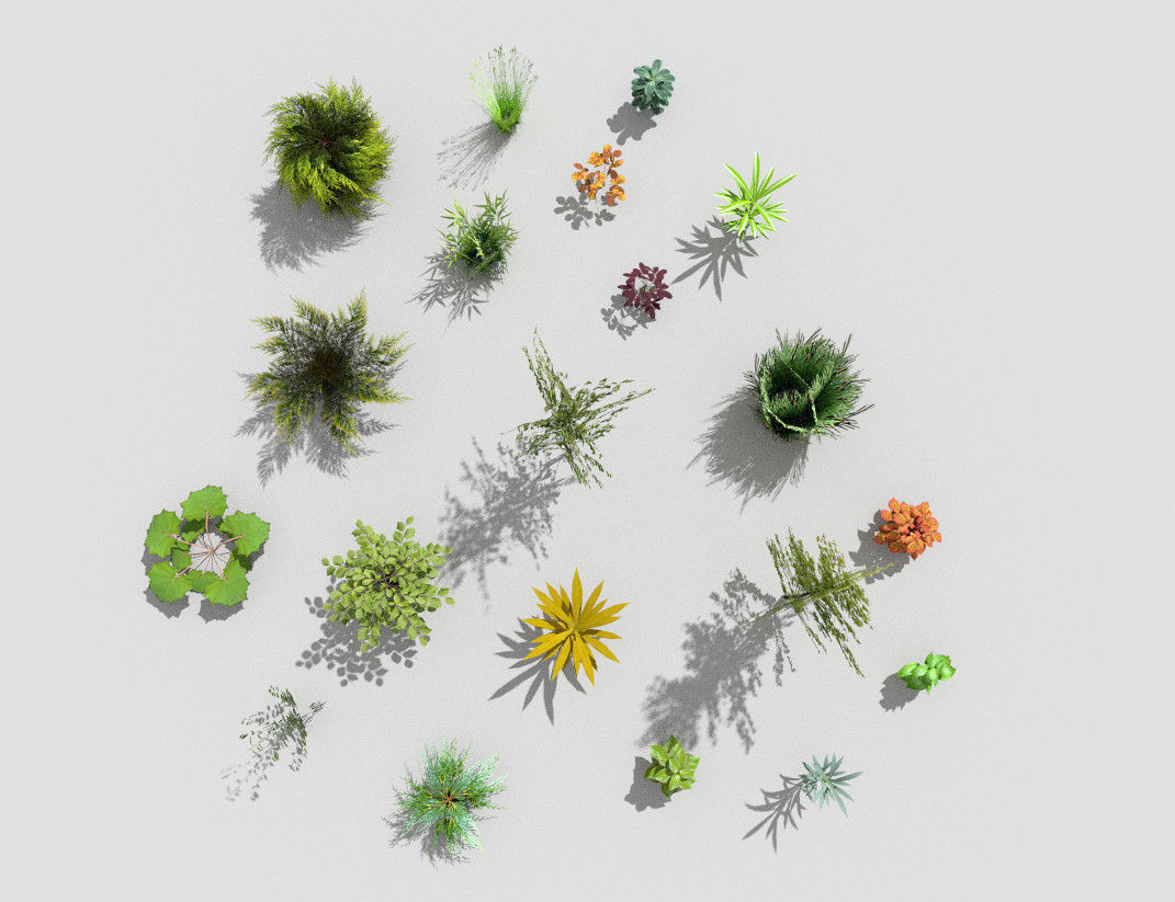 low poly plants collection and trees Low-poly 3D model_2