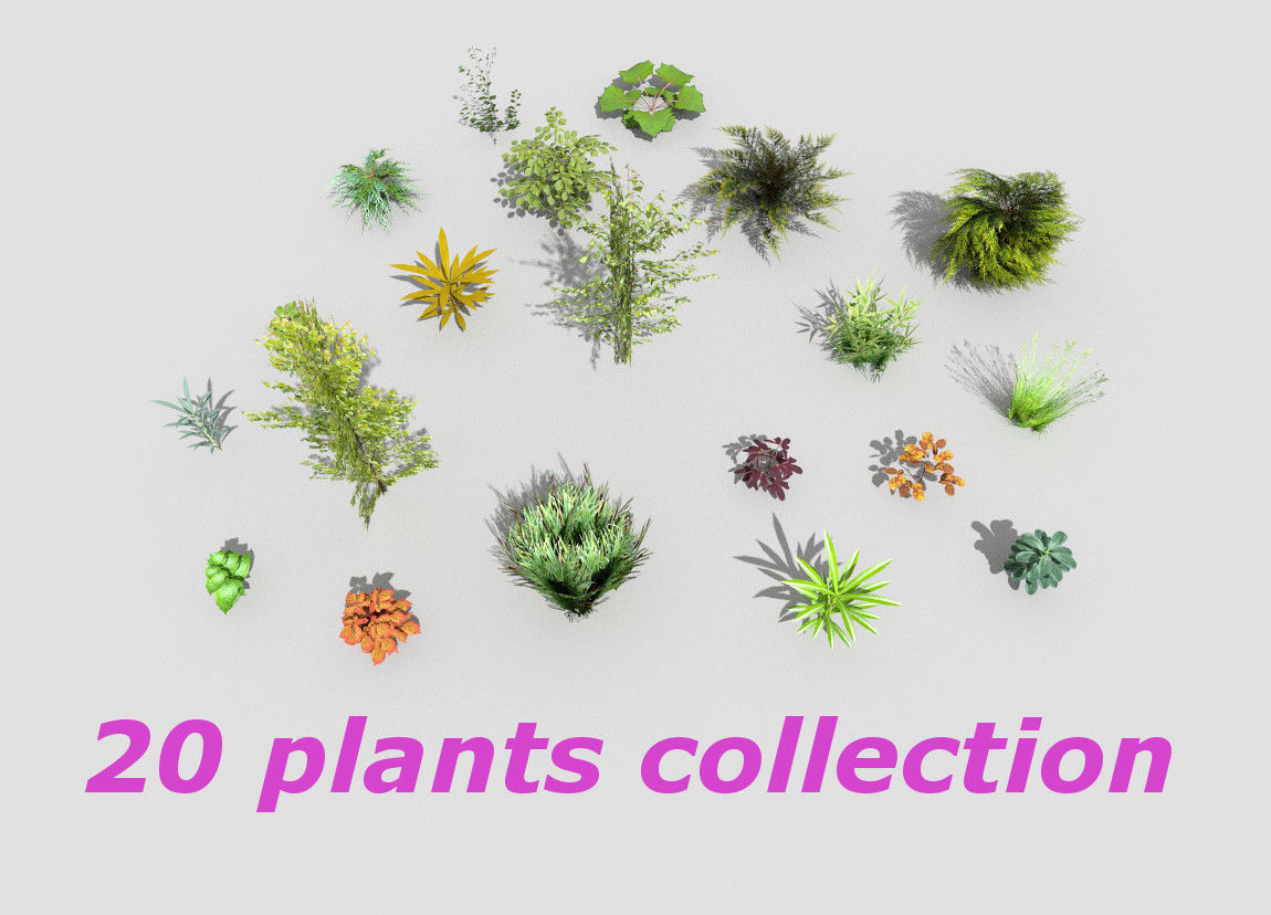 low poly plants collection and trees Low-poly 3D model_1