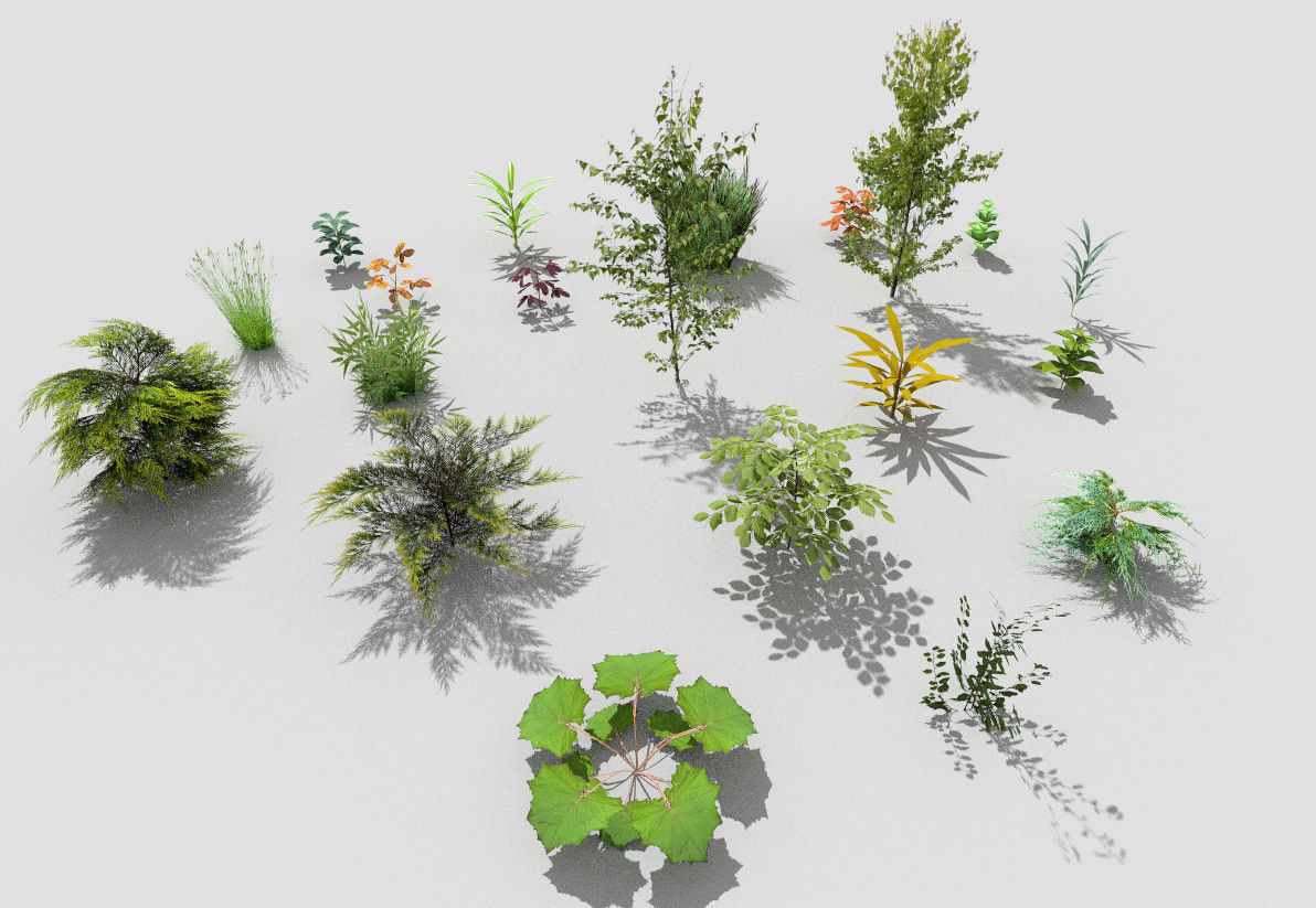 low poly plants collection and trees Low-poly 3D model_5