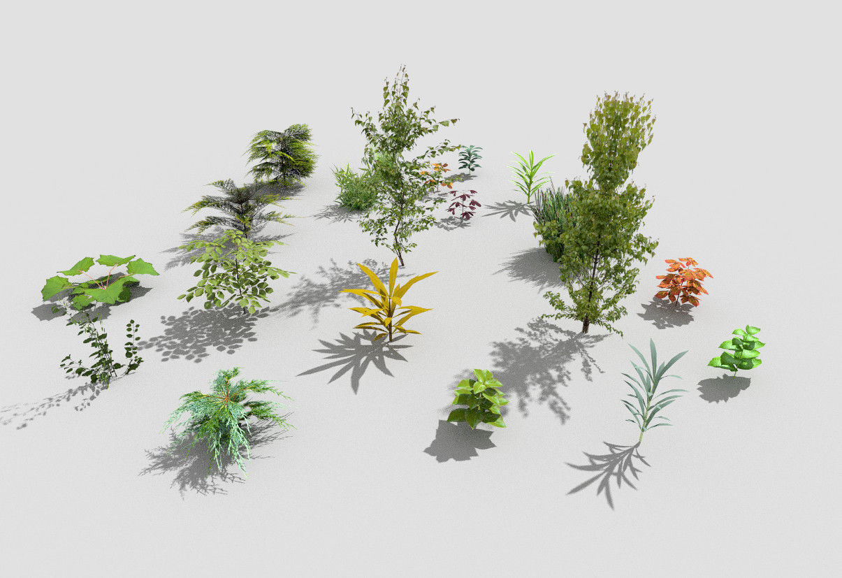 low poly plants collection and trees Low-poly 3D model_6