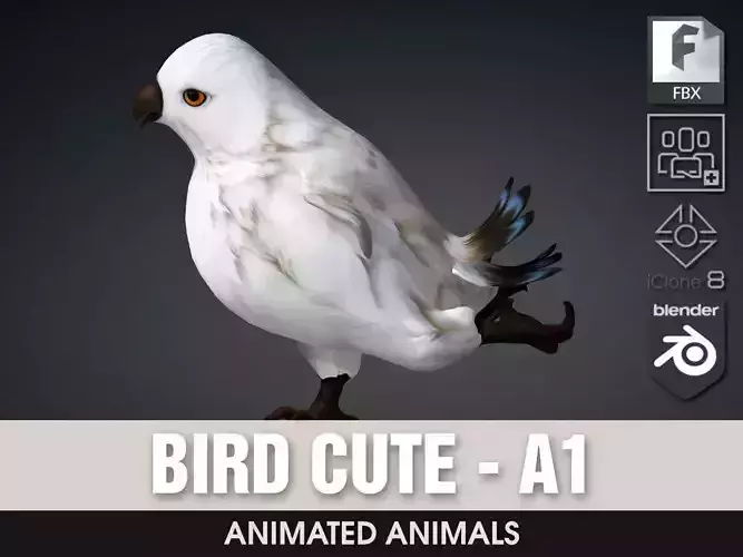 Bird Cute-A1