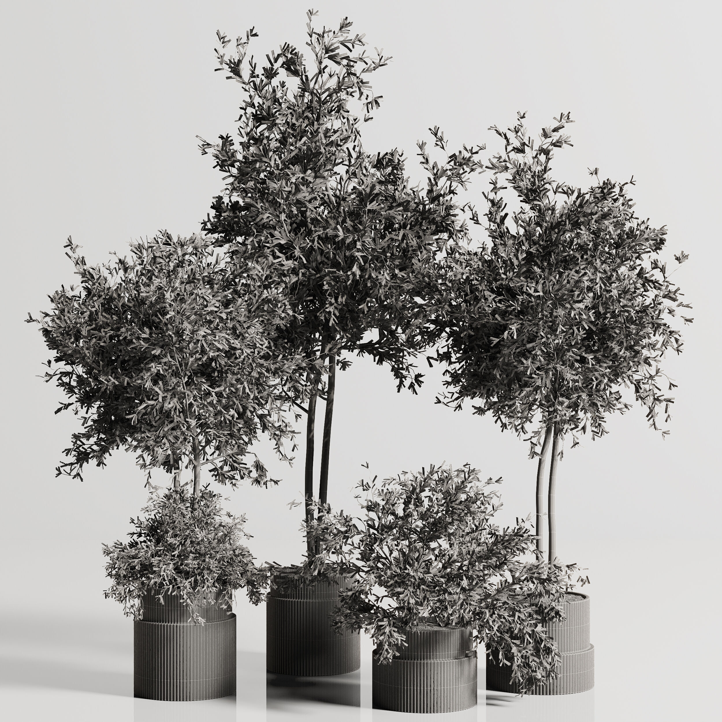 Indoor Plant Set 88 3D model_6