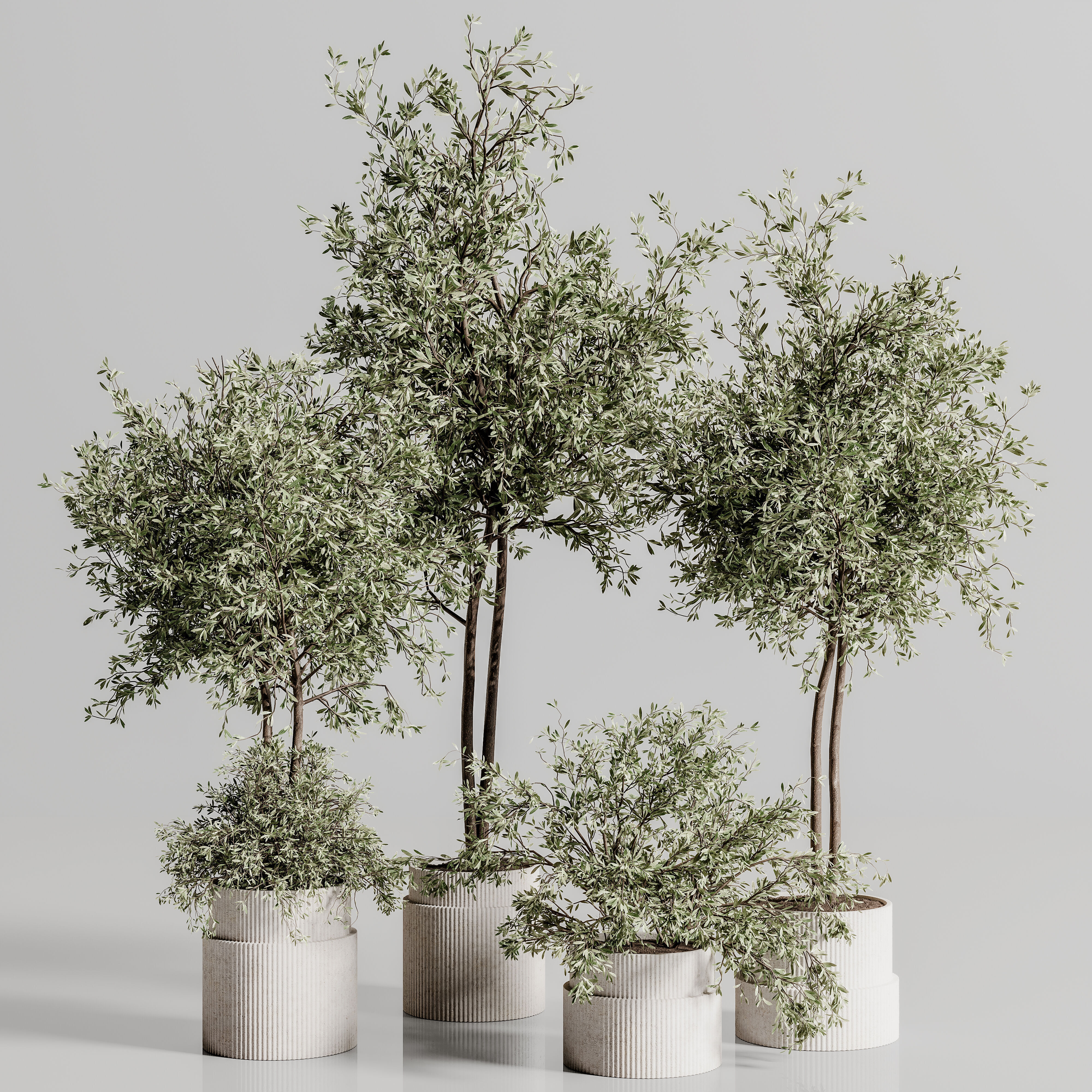 Indoor Plant Set 88 3D model_1