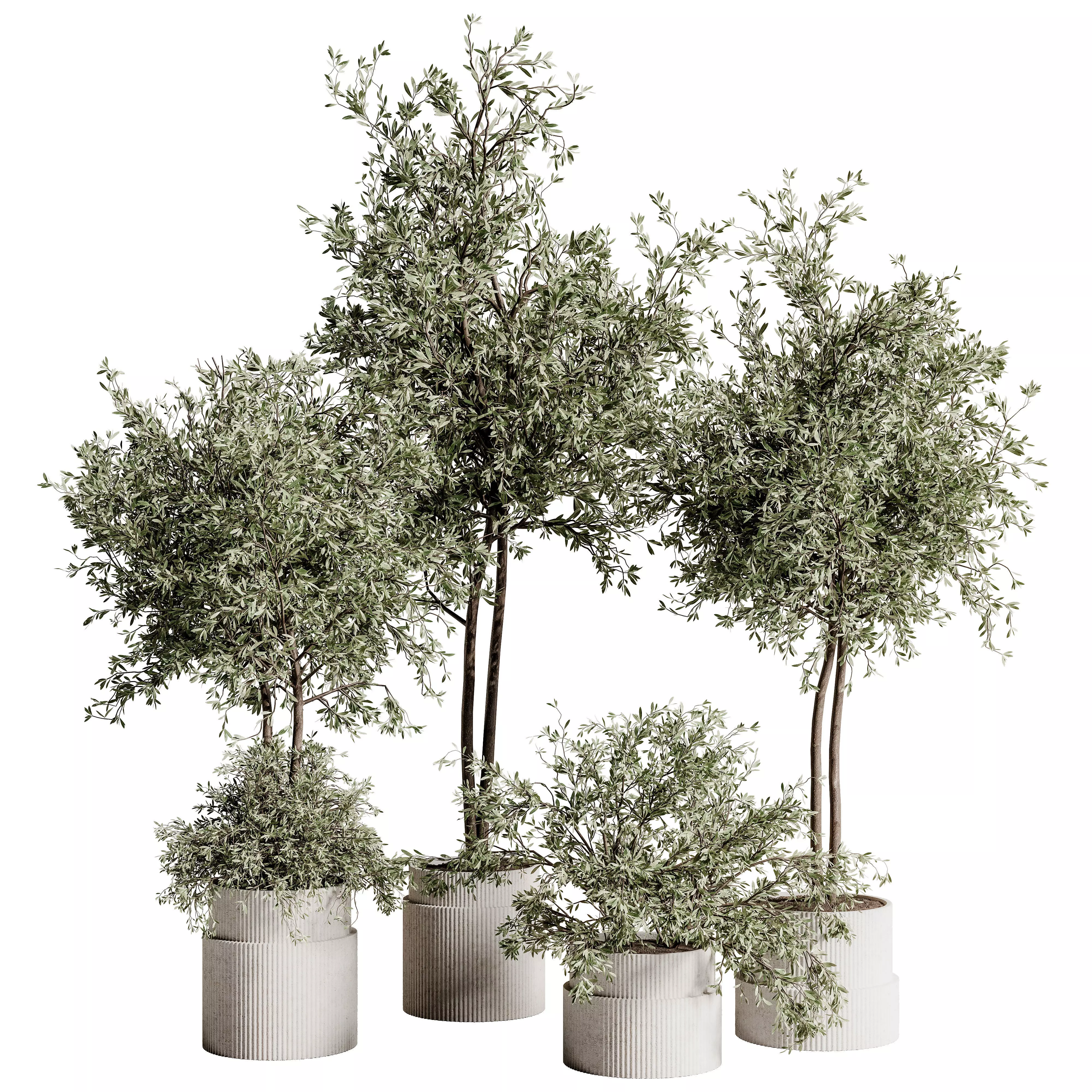 Indoor Plant Set 88 3D model_0