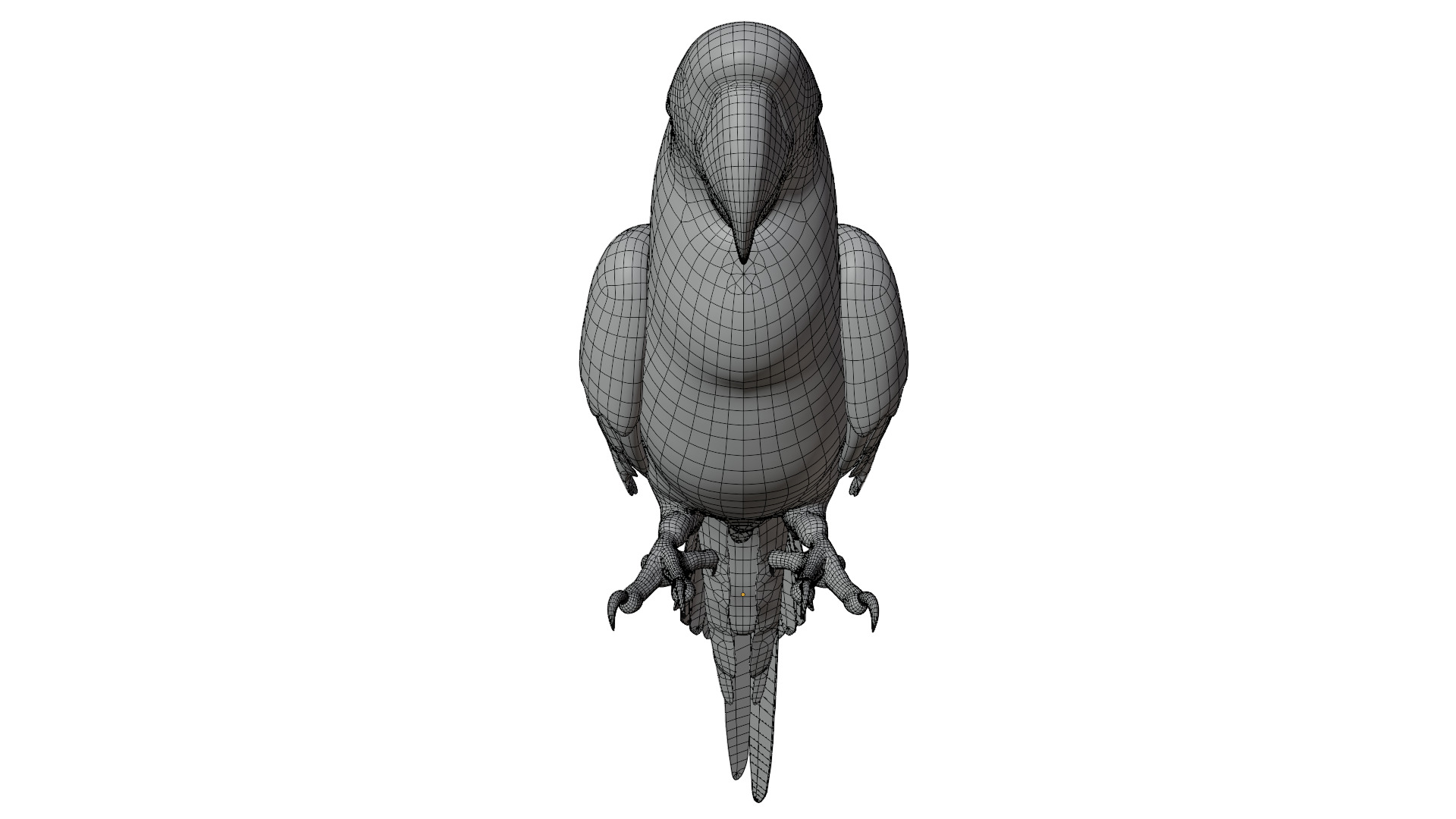 Parrot 3D model_16