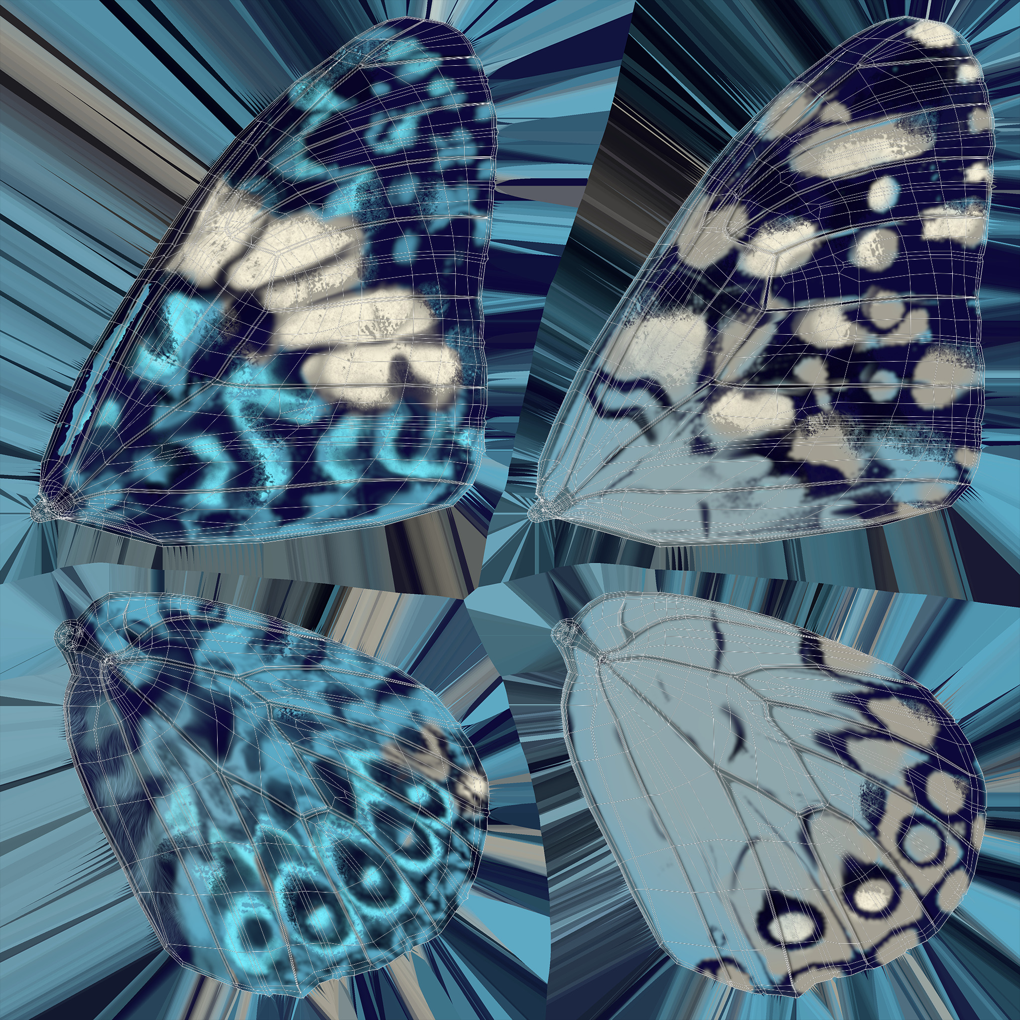 Butterfly Blue Cracker 3D model_21