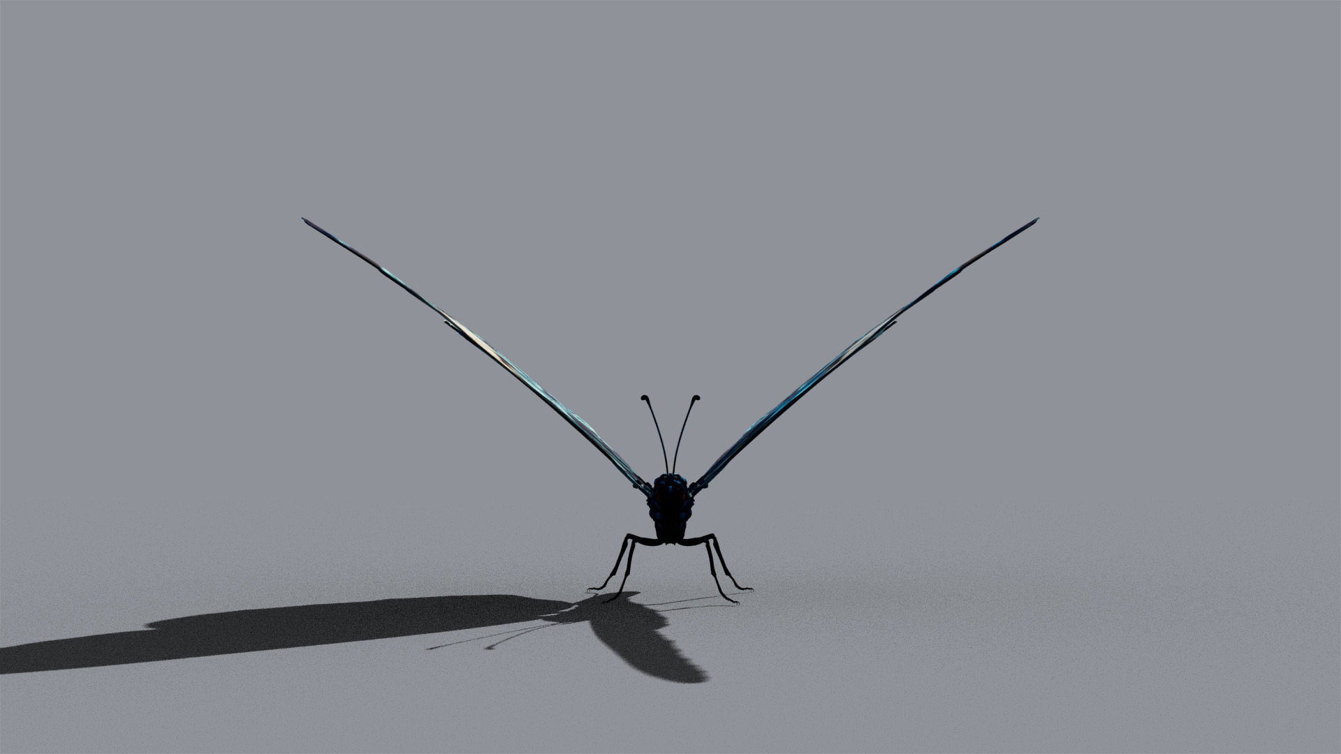 Butterfly Blue Cracker 3D model_9