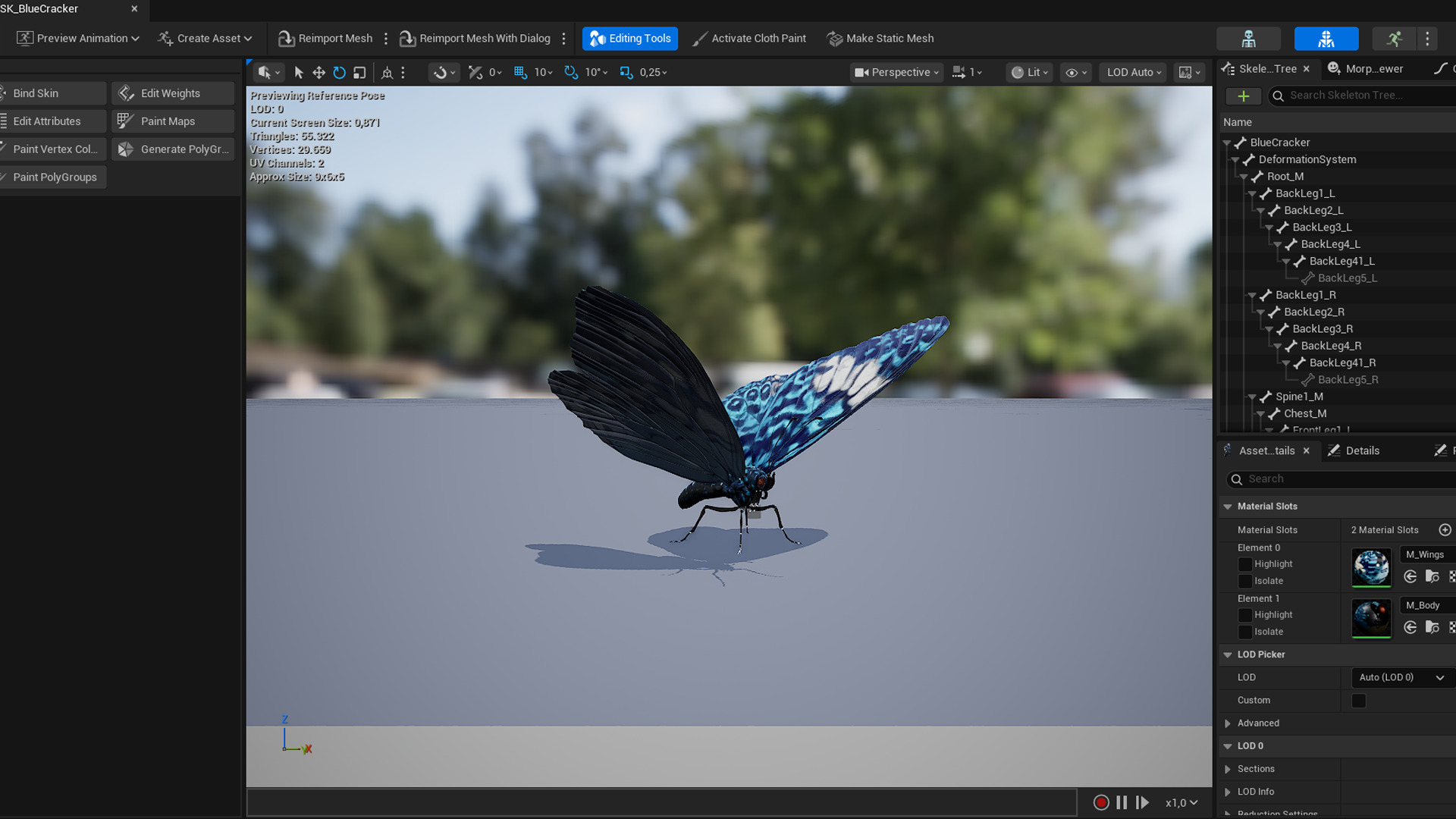 Butterfly Blue Cracker 3D model_17