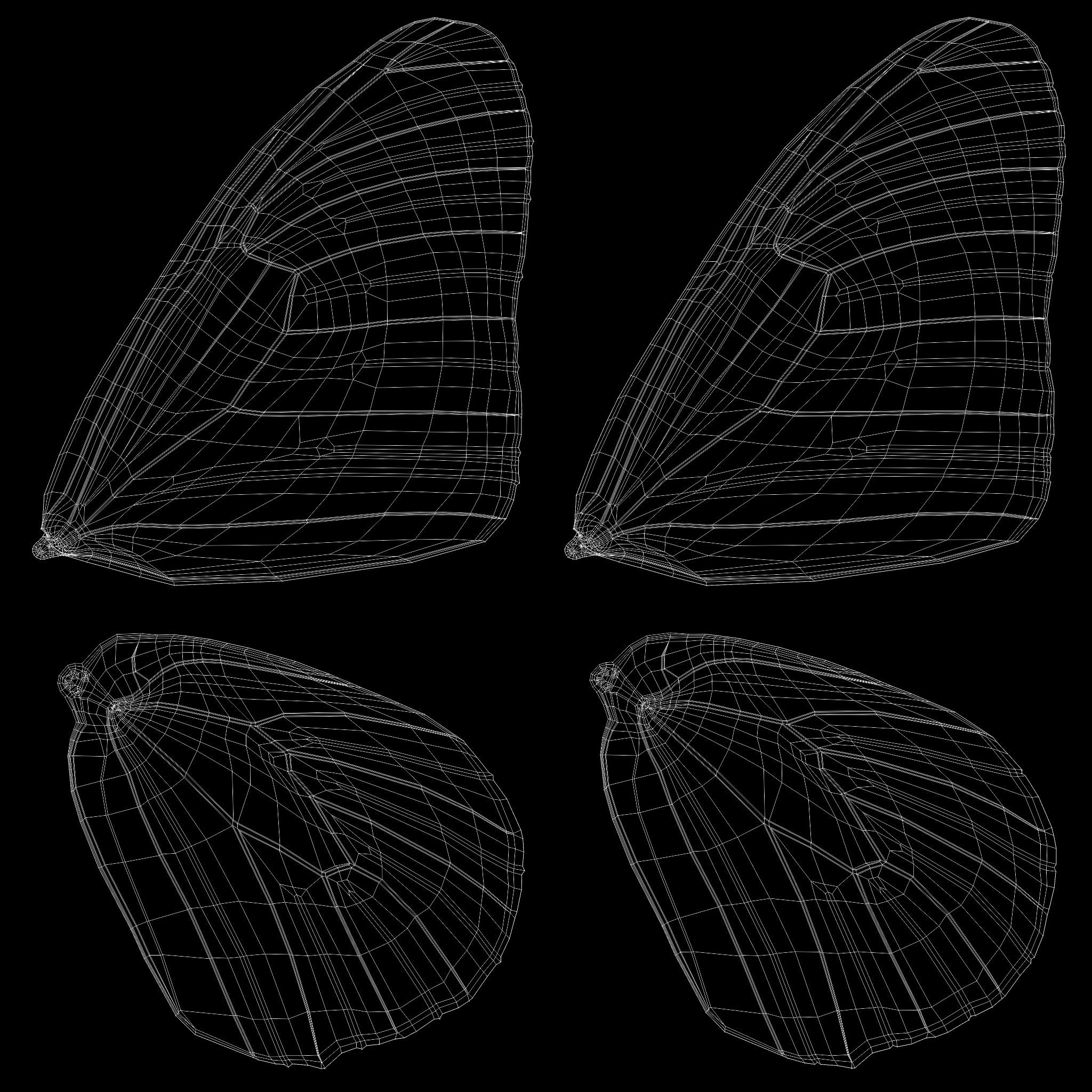 Butterfly Blue Cracker 3D model_20