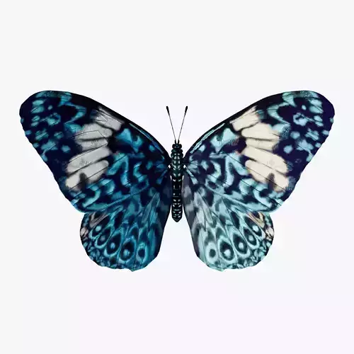 Butterfly Blue Cracker 3D model