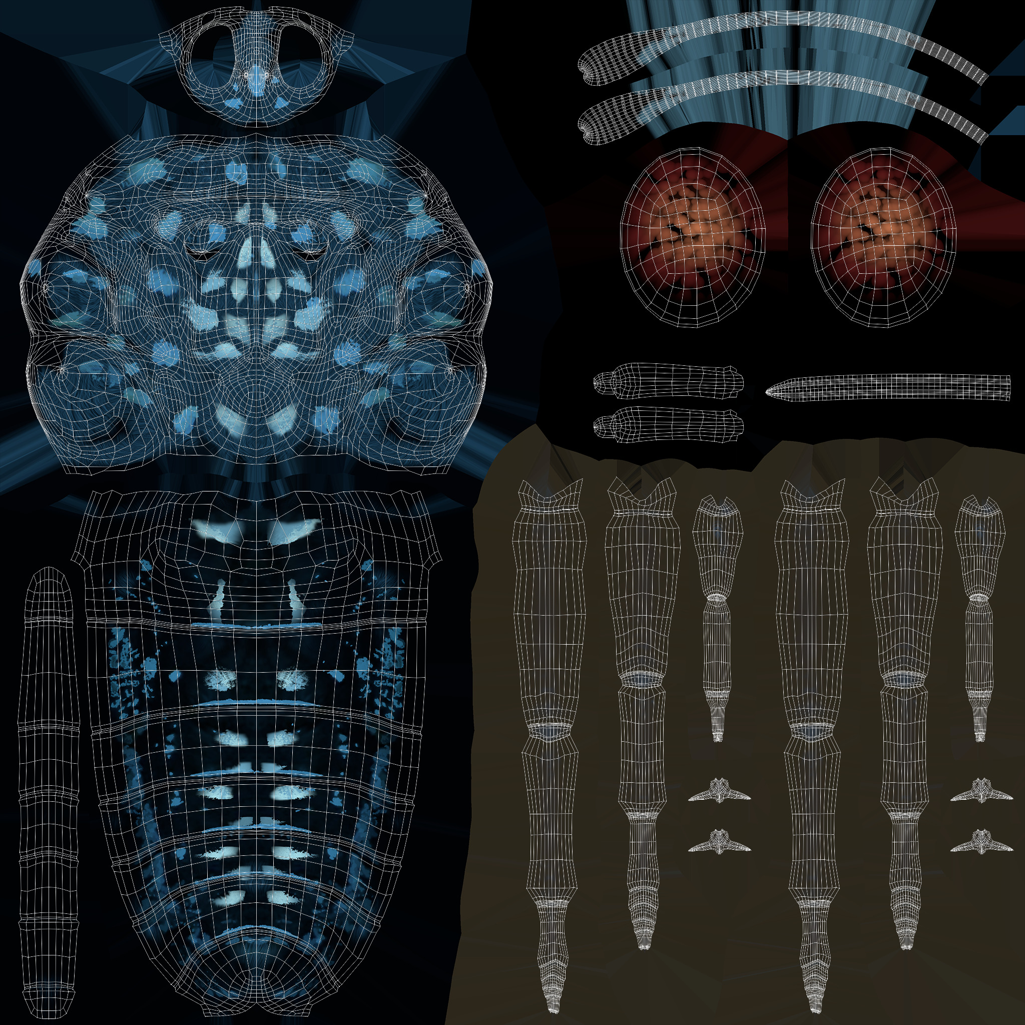 Butterfly Blue Cracker 3D model_19