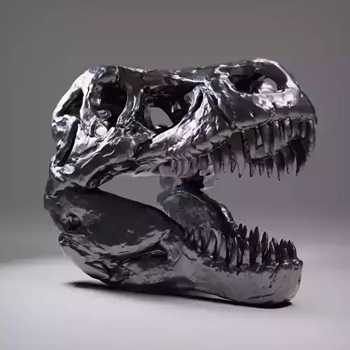 T-rex Skull  Free 3D print model
