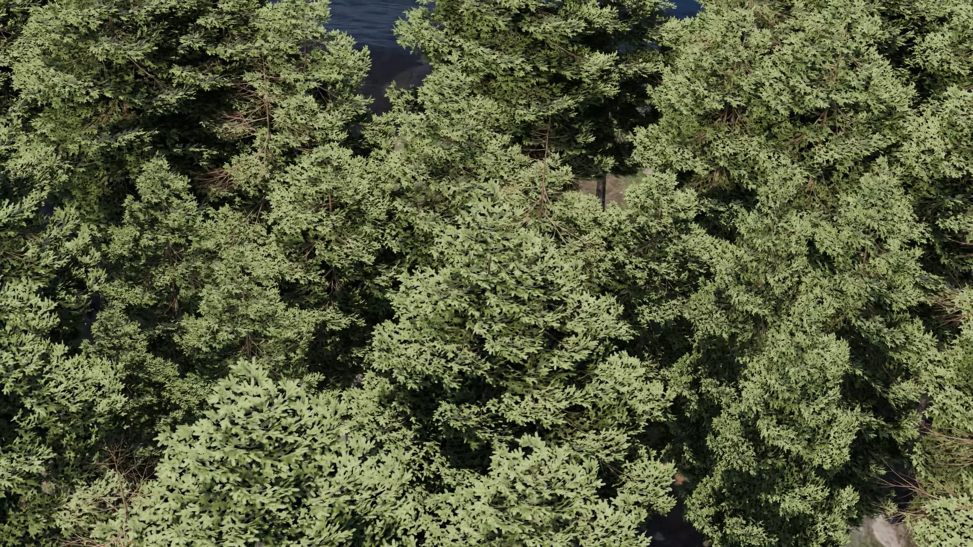 Forest scene 3D model