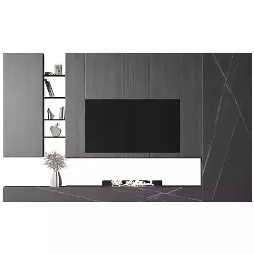 The Middel Tv Wall with Fire place