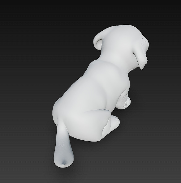 Dog Realistic 3D Model Basic - Low Poly Realistic Low-poly 3D model_11