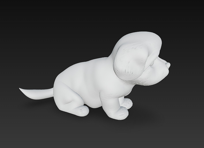 Dog Realistic 3D Model Basic - Low Poly Realistic Low-poly 3D model_10
