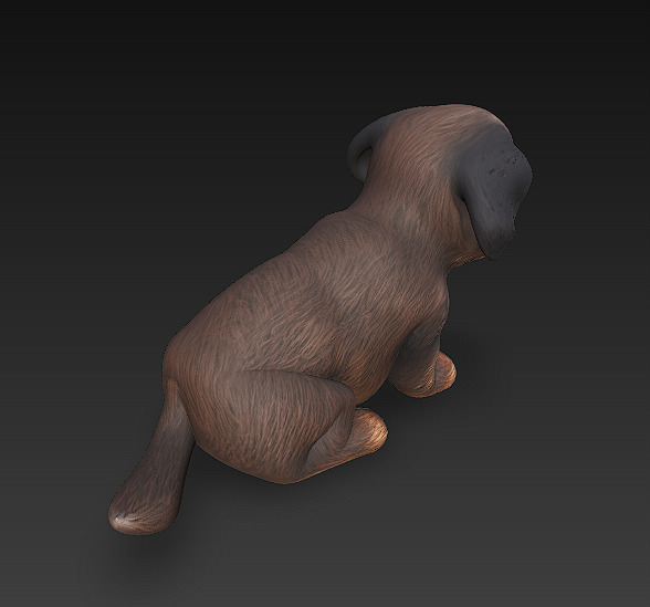 Dog Realistic 3D Model Basic - Low Poly Realistic Low-poly 3D model_4