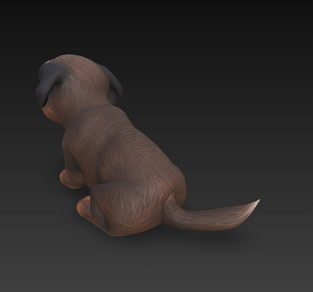 Dog Realistic 3D Model Basic - Low Poly Realistic Low-poly 3D model_5