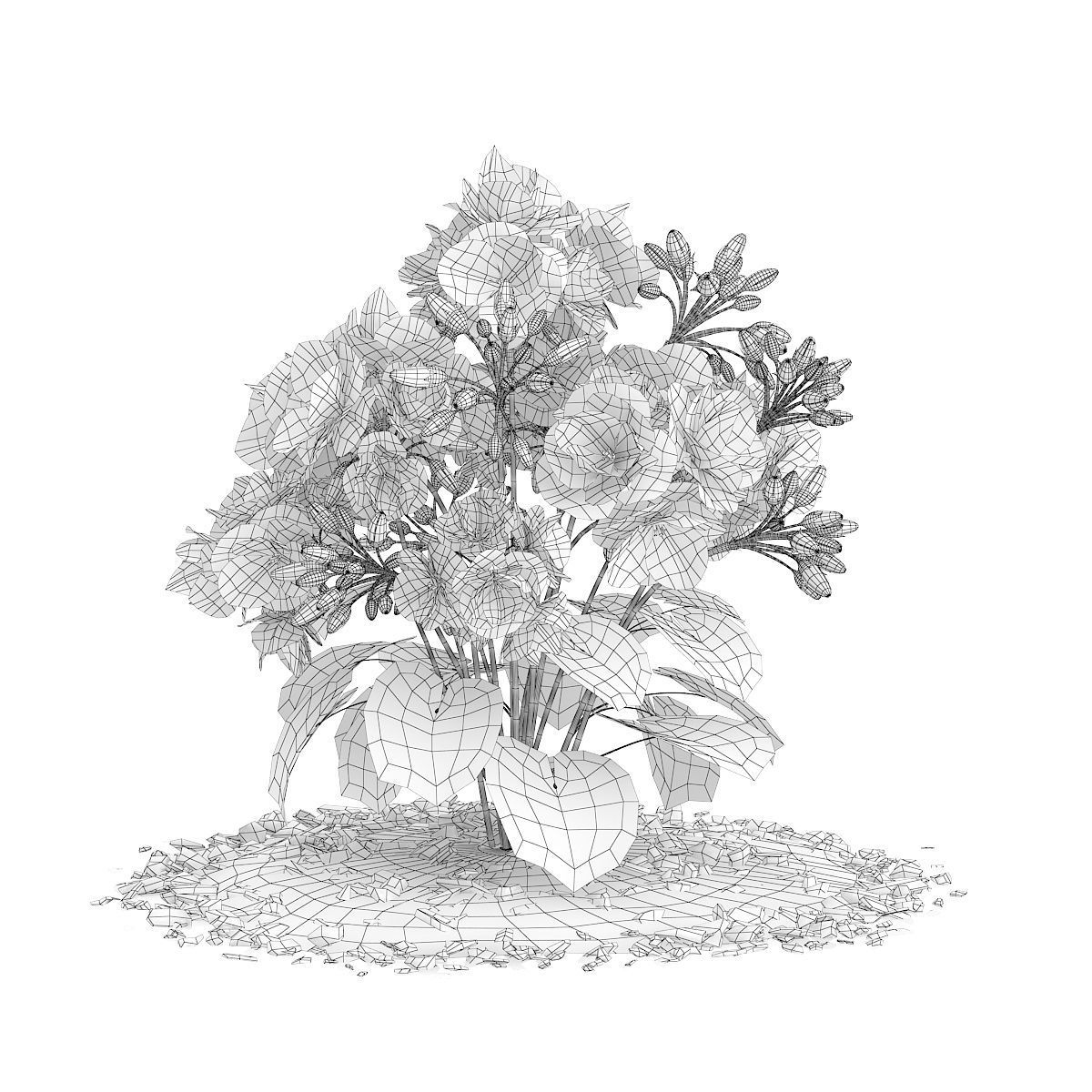 Red Geraniums Geranium caespitosum 3D model_1