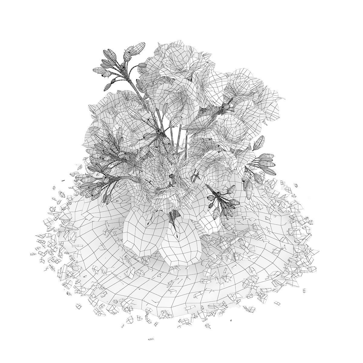 Red Geraniums Geranium caespitosum 3D model_3