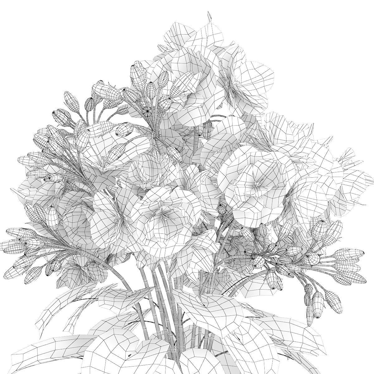 Red Geraniums Geranium caespitosum 3D model_7