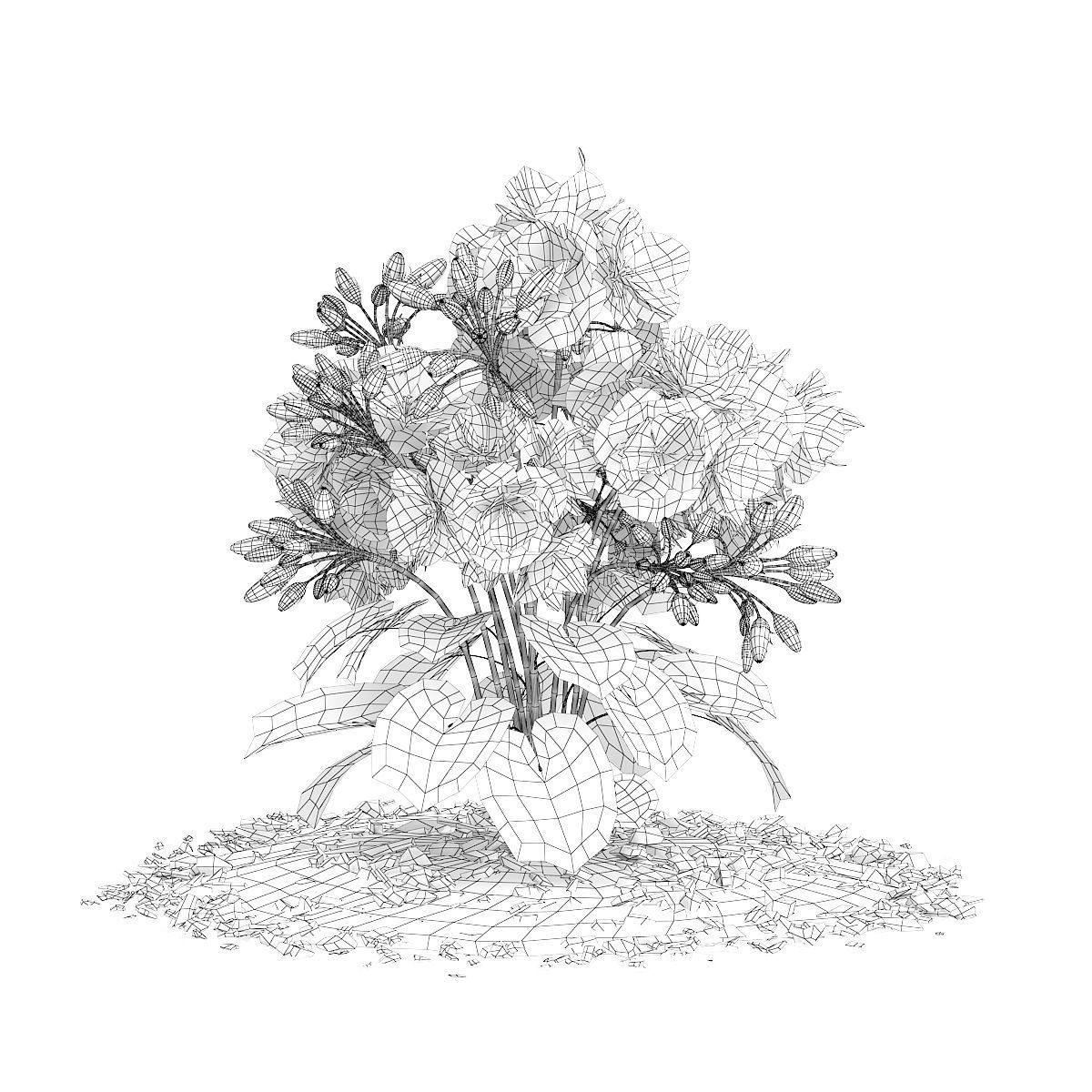 Red Geraniums Geranium caespitosum 3D model_5