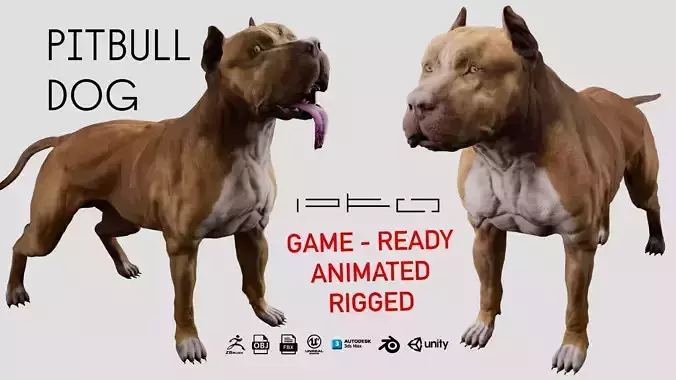 American Pitbull Dog Low-poly 3D model
