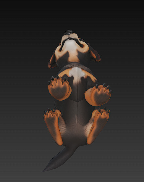 Dog Cute Realistic 3D Model Basic - Low Poly Realistic Low-poly 3D model_6