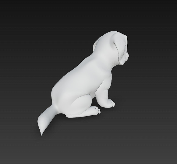 Dog Cute Realistic 3D Model Basic - Low Poly Realistic Low-poly 3D model_10