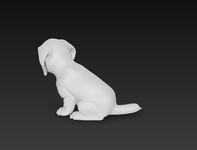Dog Cute Realistic 3D Model Basic - Low Poly Realistic Low-poly 3D model_11
