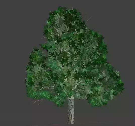 High Poly Mango Tree 3D Model Free 3D model