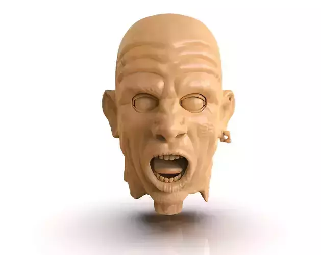 Decapitated Man Head