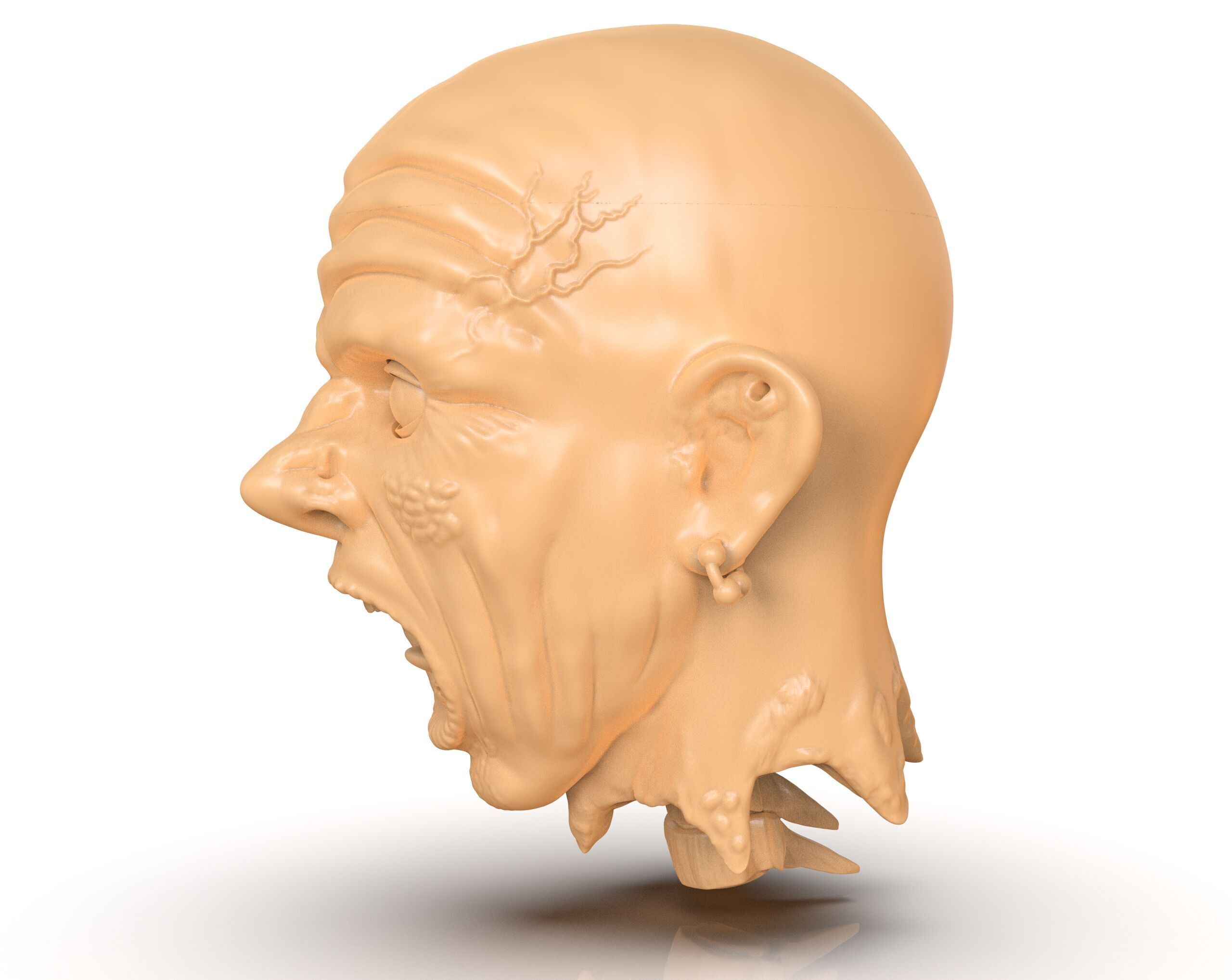 Decapitated Man Head 3D print model_2