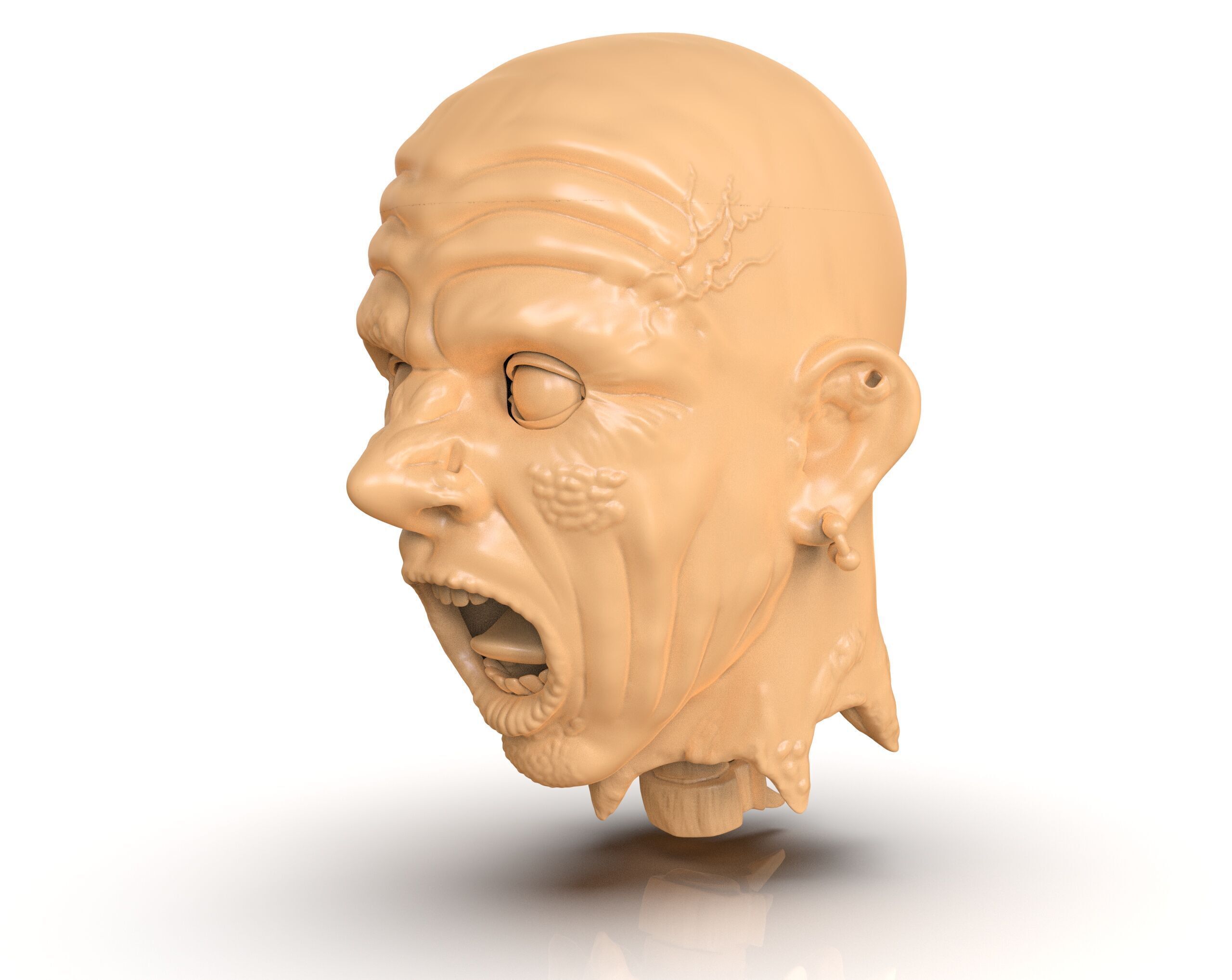 Decapitated Man Head 3D print model_1