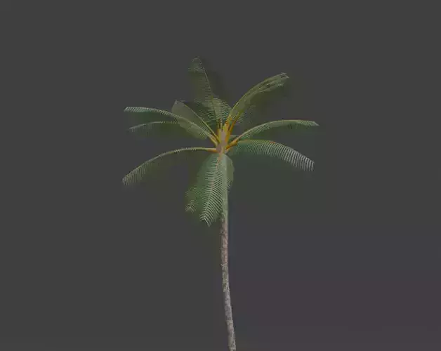 High Poly Palm Tree 3D Model