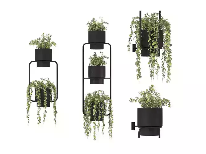 Metal Wall Mounted Planter
