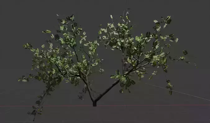 High Poly Guava Tree 3D Model