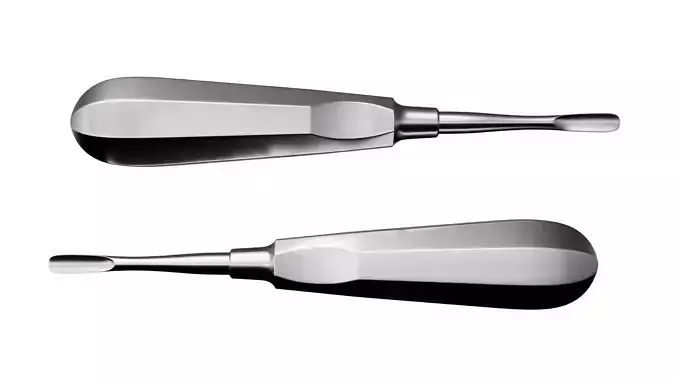 Seldin Root Elevator