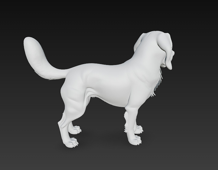 Dog Realistic 3D Model Basic - Low Poly Realistic Low-poly 3D model_14